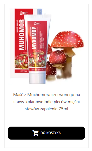 Maść krem z muchomora